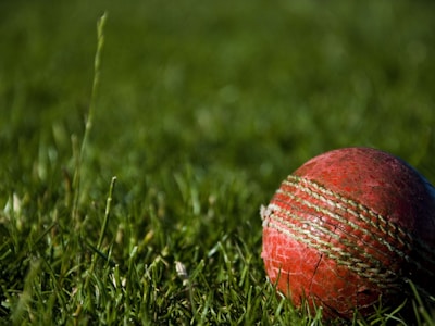 陕西球迷在看台上共同挥舞围巾助威的壮观场面